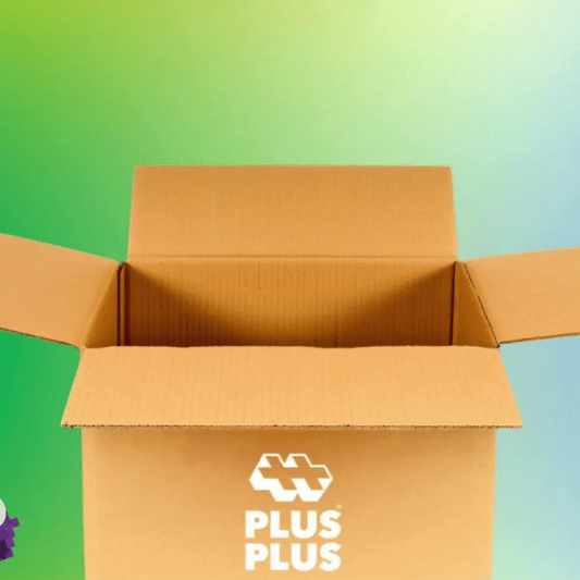 Plus-Plus Mystery Box