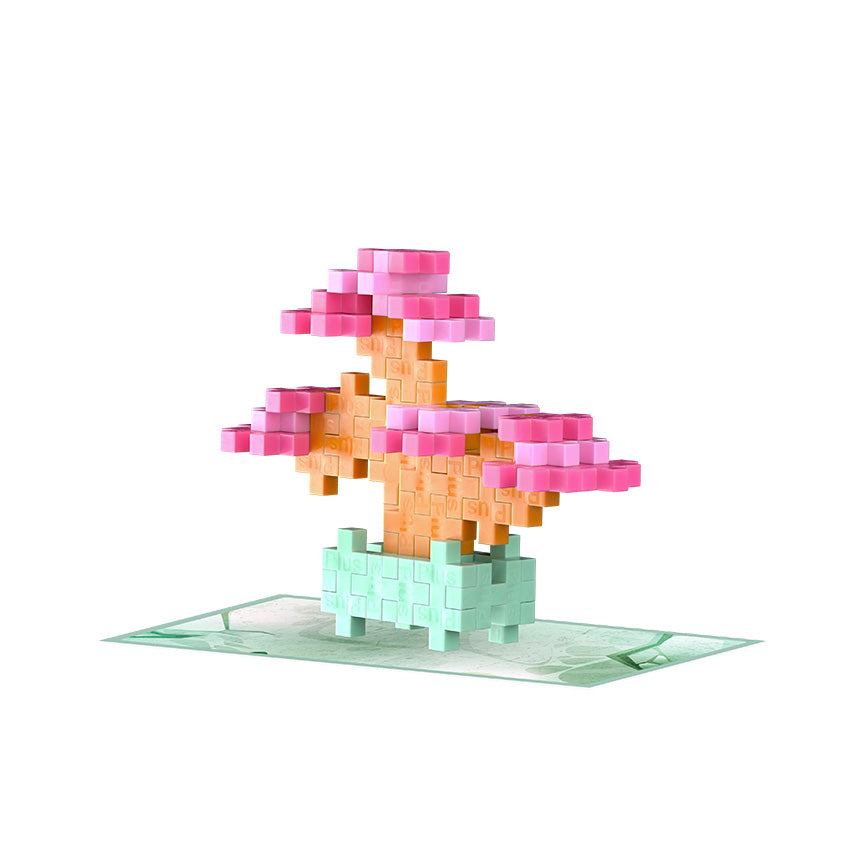bonsai trees plus Plant Pack