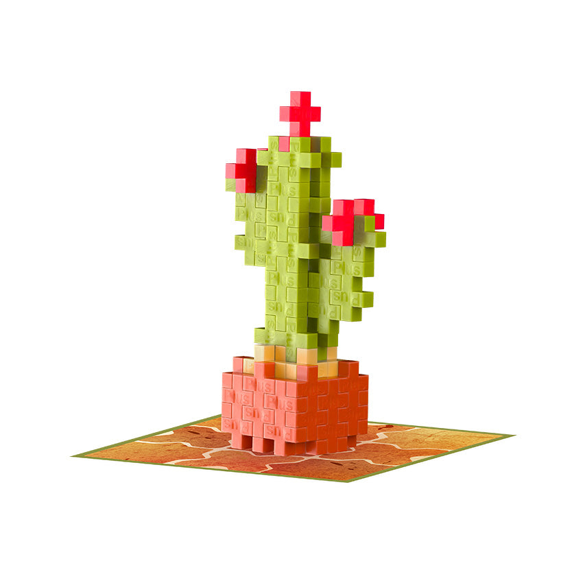 succulents plus Calm Cactus Plant Packet