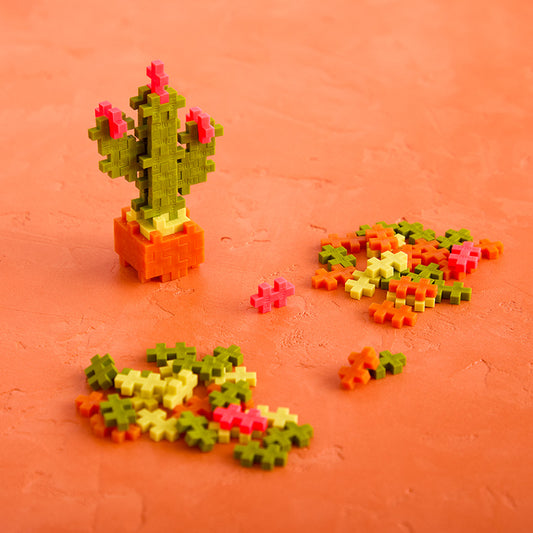 Calm Cactus