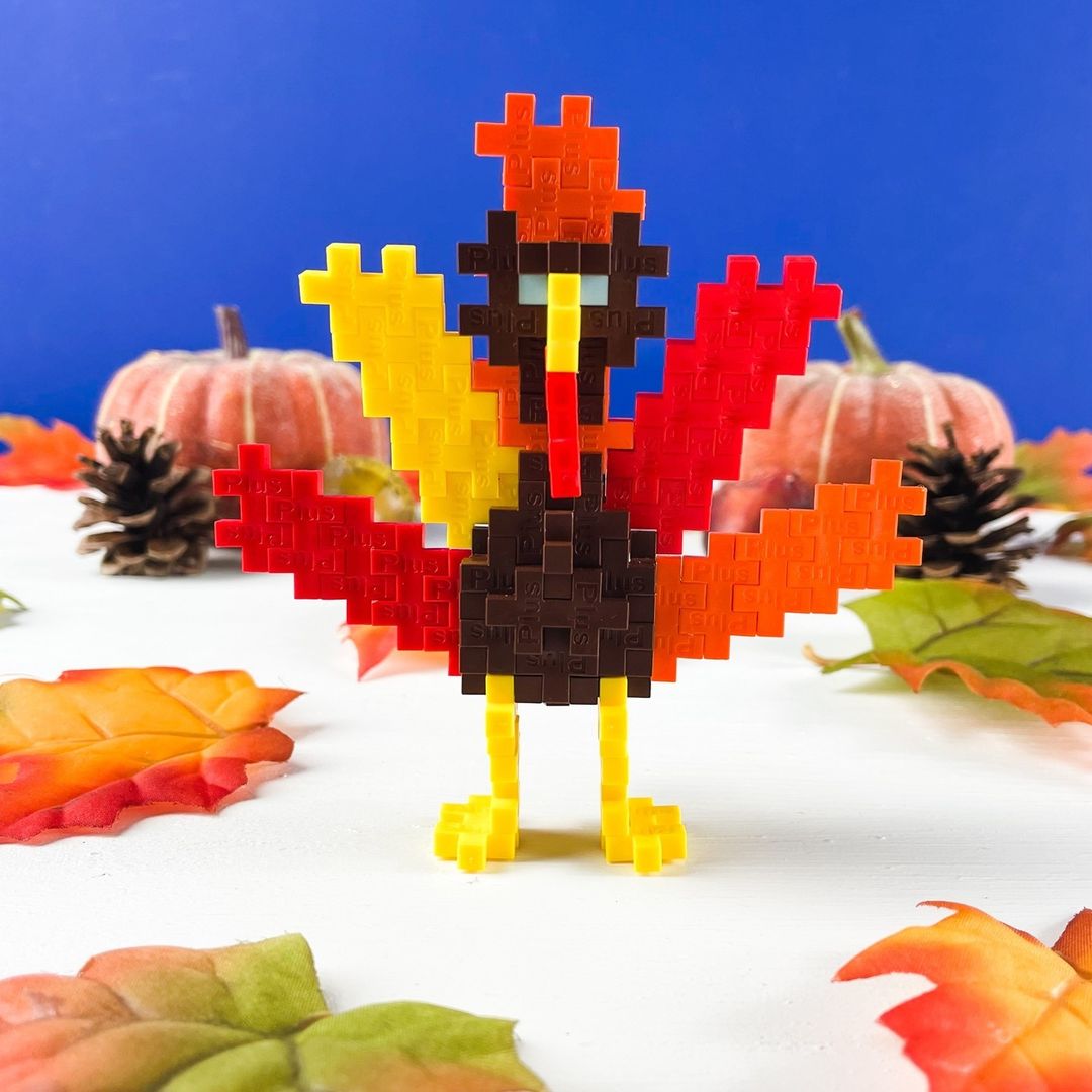 Learn To Build A Thanksgiving Turkey!