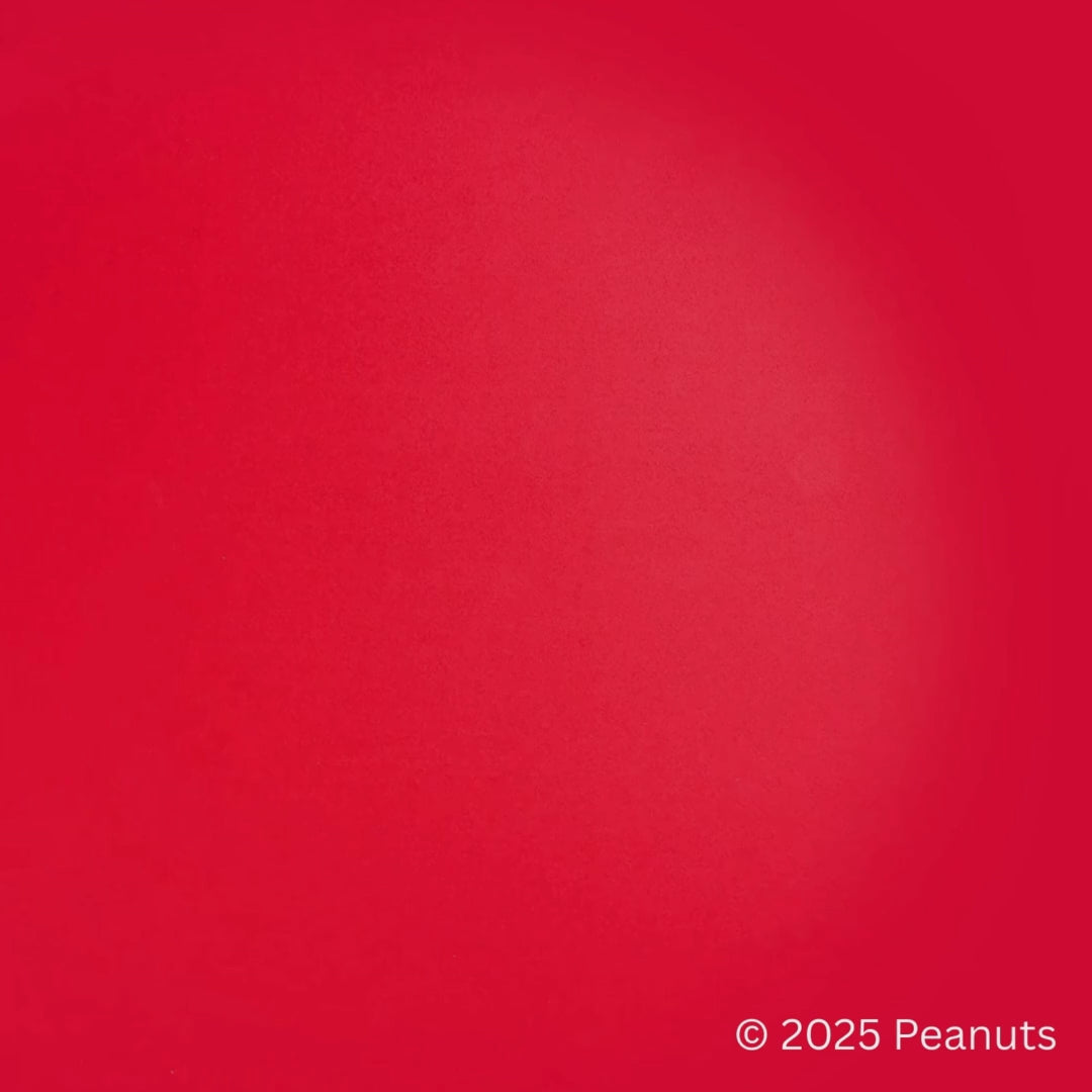 すぬ スヌーピー フライングエース – BEVERLY